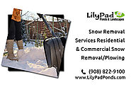 Looking for snow removal services
