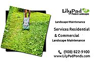 Looking for a landscape maintenance company in Plainfield, NJ