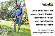 Professional Landscape Maintenance Services in NJ