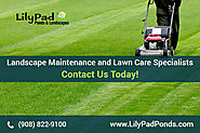 Lawn And Landscape Design Experts In Plainfield, NJ