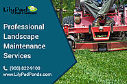 Professional Landscape Maintenance Services In Plainfield, NJ