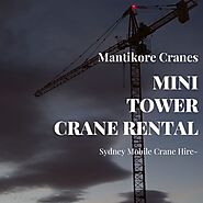 Mini Tower Crane Rental | PO BOX 135 Cobbitty NSW, 2570 Australia | Other Business Services | ADSCT