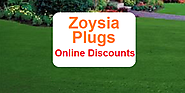 Where to Buy Zoysia Plugs - Sales and Online Discounts -
