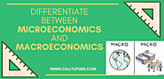 Differentiate between microeconomics and macroeconomics