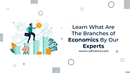 Learn what Are The Branches Of Economic By Our Experts
