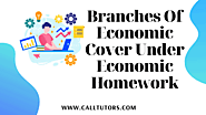 Branches of economic cover under economic homework