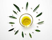 Olive Leaf Extract Dose and Side Effects | no1healthtips.com