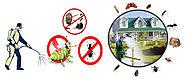 How does pest control services effective in exterminating termites? - Orange Pages