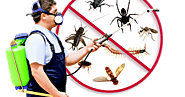 How to choose pest control services for your property?