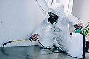 Is Approaching Pest Control Company Beneficial To The Wellbeing? - Home Improvements AU