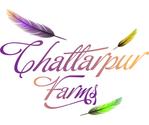Chattarpur Farms: A Dream Project of L7 Group