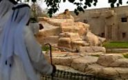 Al Ain City Tour from Dubai - Booking Tours, Holiday Packages, Thinks to Do