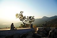 Mount Abu Wildlife Sanctuary in Hindi - travellgroup