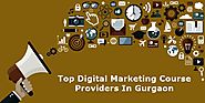 Top Digital Marketing Training Institute in Gurgaon