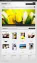 Images Bank OpenCart Template