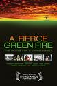 A FIERCE GREEN FIRE