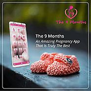Pregnancy : The 9 Months