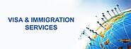 Role of Visa Consultant - Business visa USA