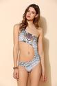 Tiger Bite One-Piece