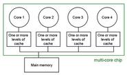 Tell us in brief what is cache coherence and why is it important for shared memory multiprocessor systems?