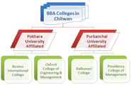 Why you chose to study BBA?