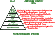 In short, explain Maslow’s need hierarchy theory
