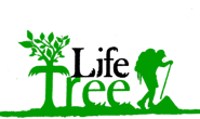 About Lifetrees: One of The Best Nature Adventure Camps in Kanakapura