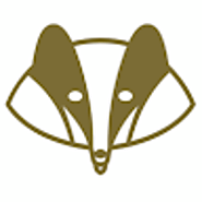 Swanky Badger (swankybadger) | weddingbee