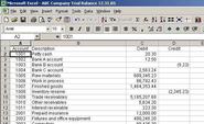 What is Trial Balance? What is its function?
