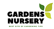 Home | GARDENS NURSERY | Outdoor Garden Nursery,Landscape ideas