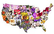50 State Flowers, State Tree, State Birds, and 50 State Nicknames USA | GARDENS NURSERY