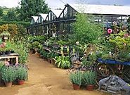 10 Beautiful Garden World Centers and Best Nurseries in Delaware | GARDENS NURSERY