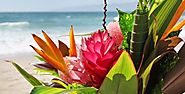 Best Beautiful Tropical Flowers - Complete Guide | GARDENS NURSERY
