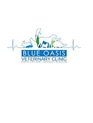 Blue Oasis Veterinary Clinic