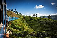 Taking a Train from Nuwara Eliya to Kandy