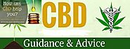 CBD Oil Reviews