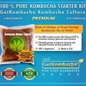 Kombucha Tea, Cultures, Mushrooms, Extracts, & Kombucha SCOBY