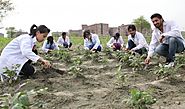 BSC Agriculture Coaching in Chandigarh