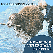 Newburgh Veterinary Hospital
