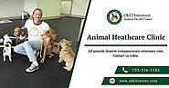 Animal Healthcare Clinic - Album on Imgur