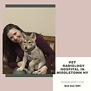 Pet Radiology Hospital in Middletown NY