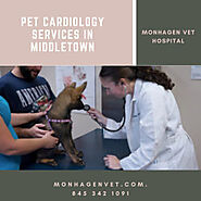 Pet Cardiology Services in Middletown