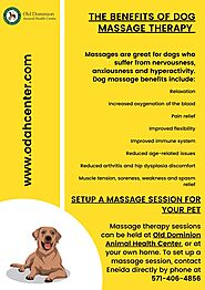 The Benefits of Dog Massage Therapy - Veterinarian McLean