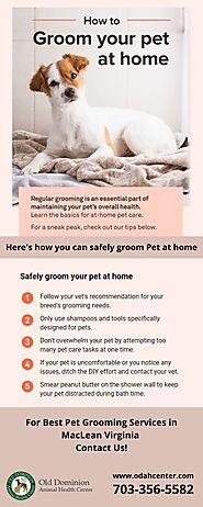 Tips for Pet Grooming at Home - McLean VA veterinarian