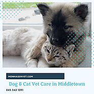 Dog & Cat Vet Care in Middletown