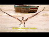 The Truth About Falmouth Jamaica - FalmouthPO.com