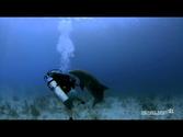 Dolphin Encounter - Stinky @ Hepps, Grand Cayman, Cayman Islands