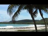 Martinique : plage de Grande Anse Macabou
