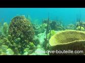 La pointe à Cabrit : Plongée aux Saintes - Iles de Guadeloupe
