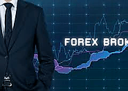 What Moves the Forex Showcase?